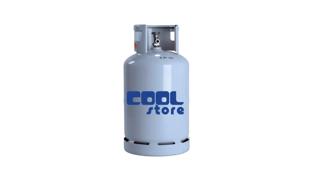 BOUTEILLE JETABLE REMPLIE R290 - 370G