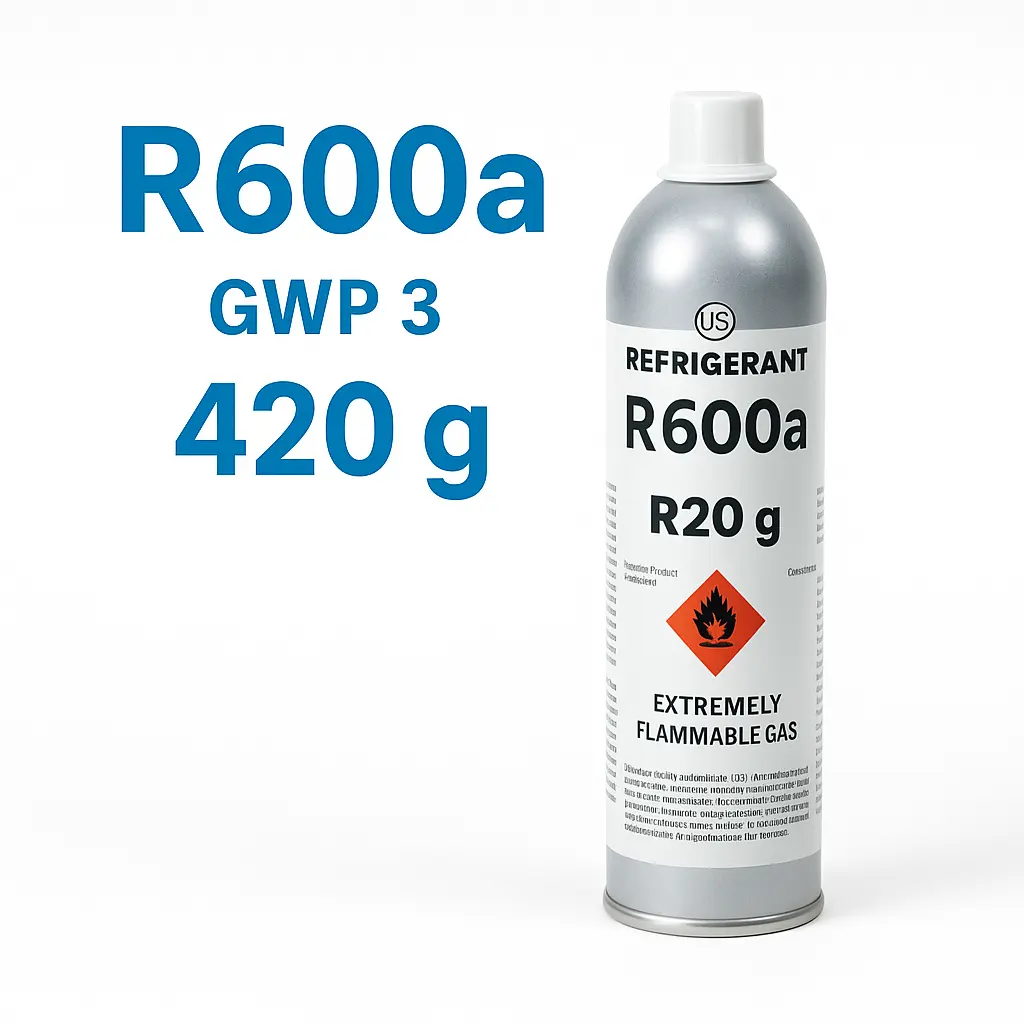 10612-R600A BOUTEILLE JETABLE 420GR
