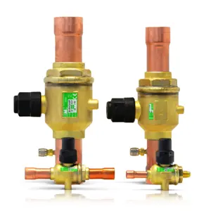 BV5AMP GMC VANNE 5/8" PRESSION MAX. 62 BAR AVEC SCHRADER